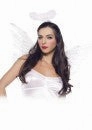 Angel Accessory Kit