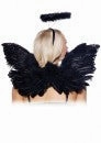 Angel Accessory Kit