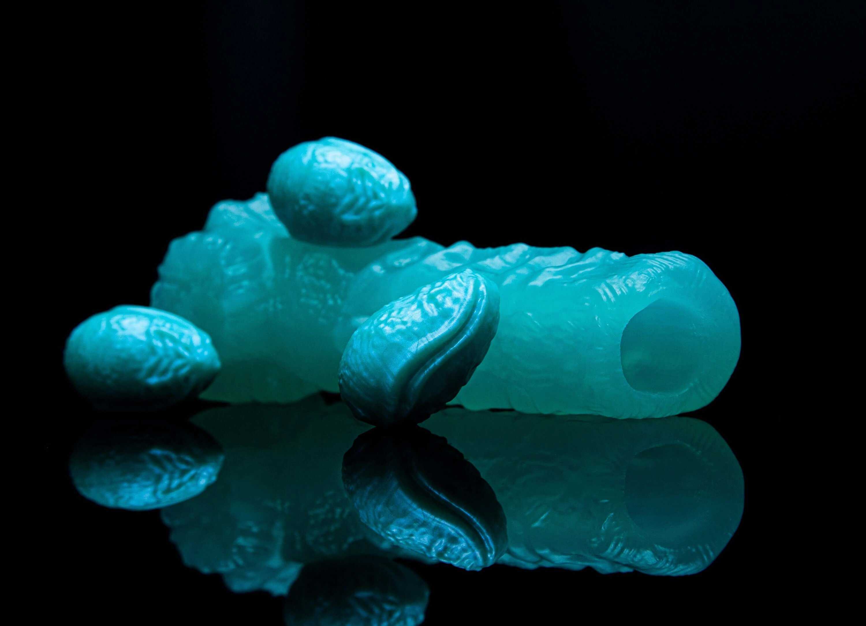 Aquarius the Zodiac Ovipositor with Kelpie Eggs: Jan 20 - Feb 18