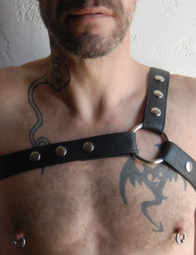 Champion Harness