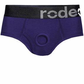 Classic Brief  Harness - Purple