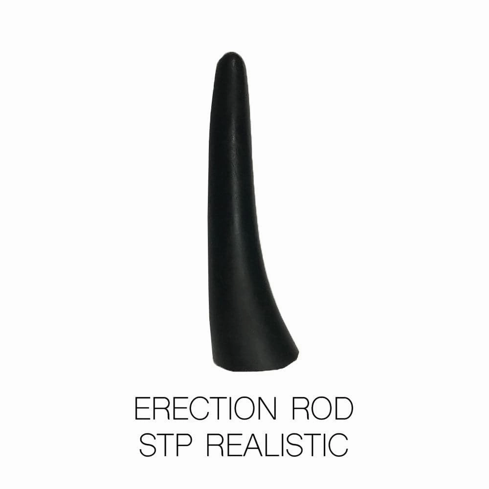 Erection Rod for STPs