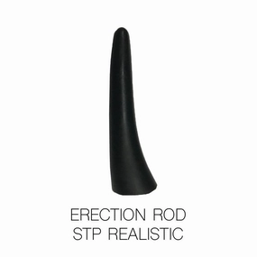 Erection Rod for STPs
