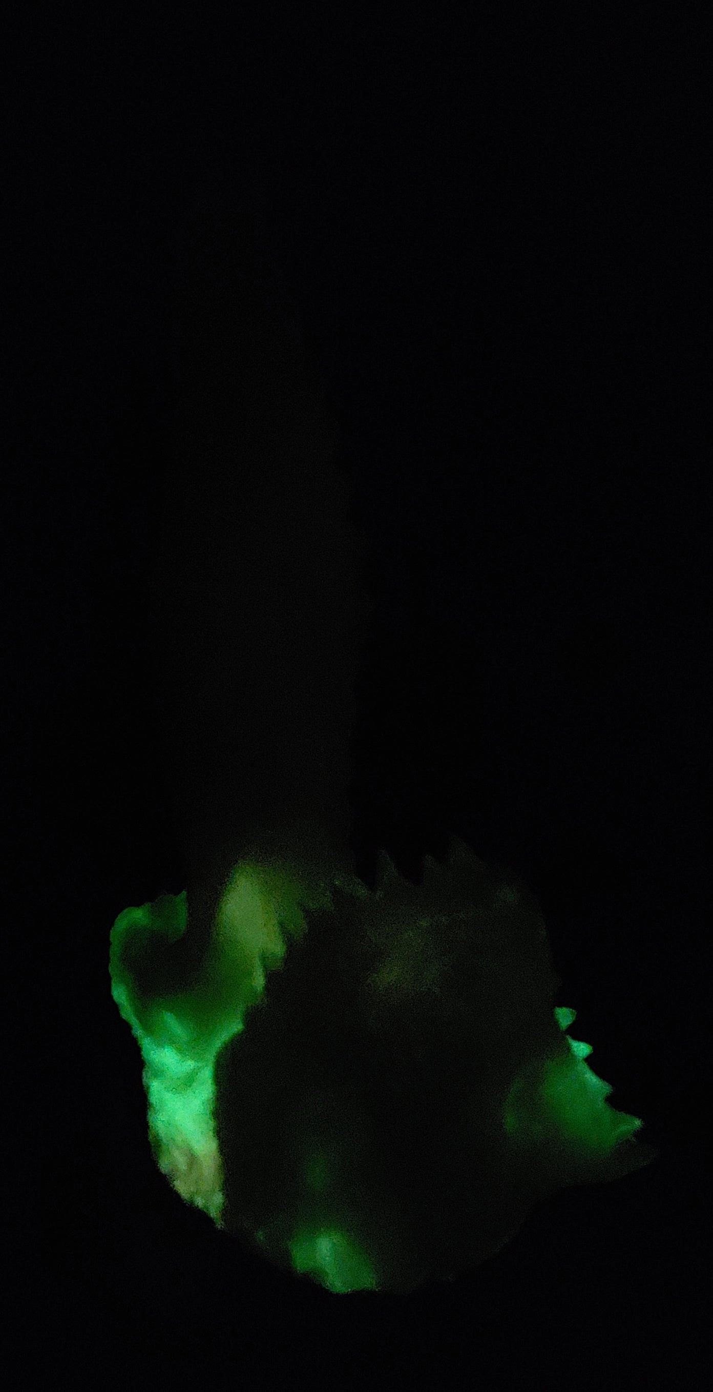 Mini Tallfang's Maw - GITD Medium silicone - TM-413