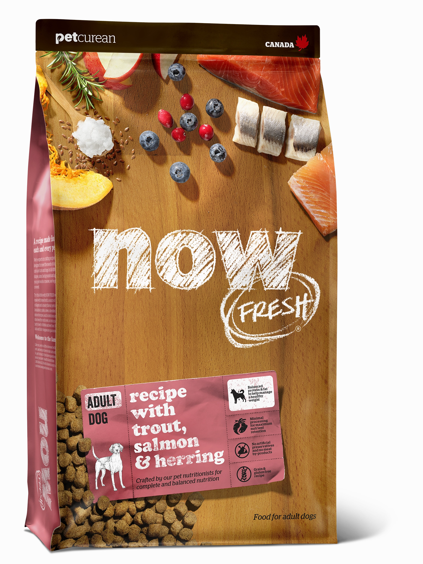 Now Fresh Grain Free Fish Adult Dry Dog Food
