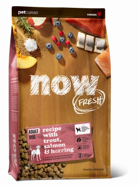 Now Fresh Grain Free Fish Adult Dry Dog Food