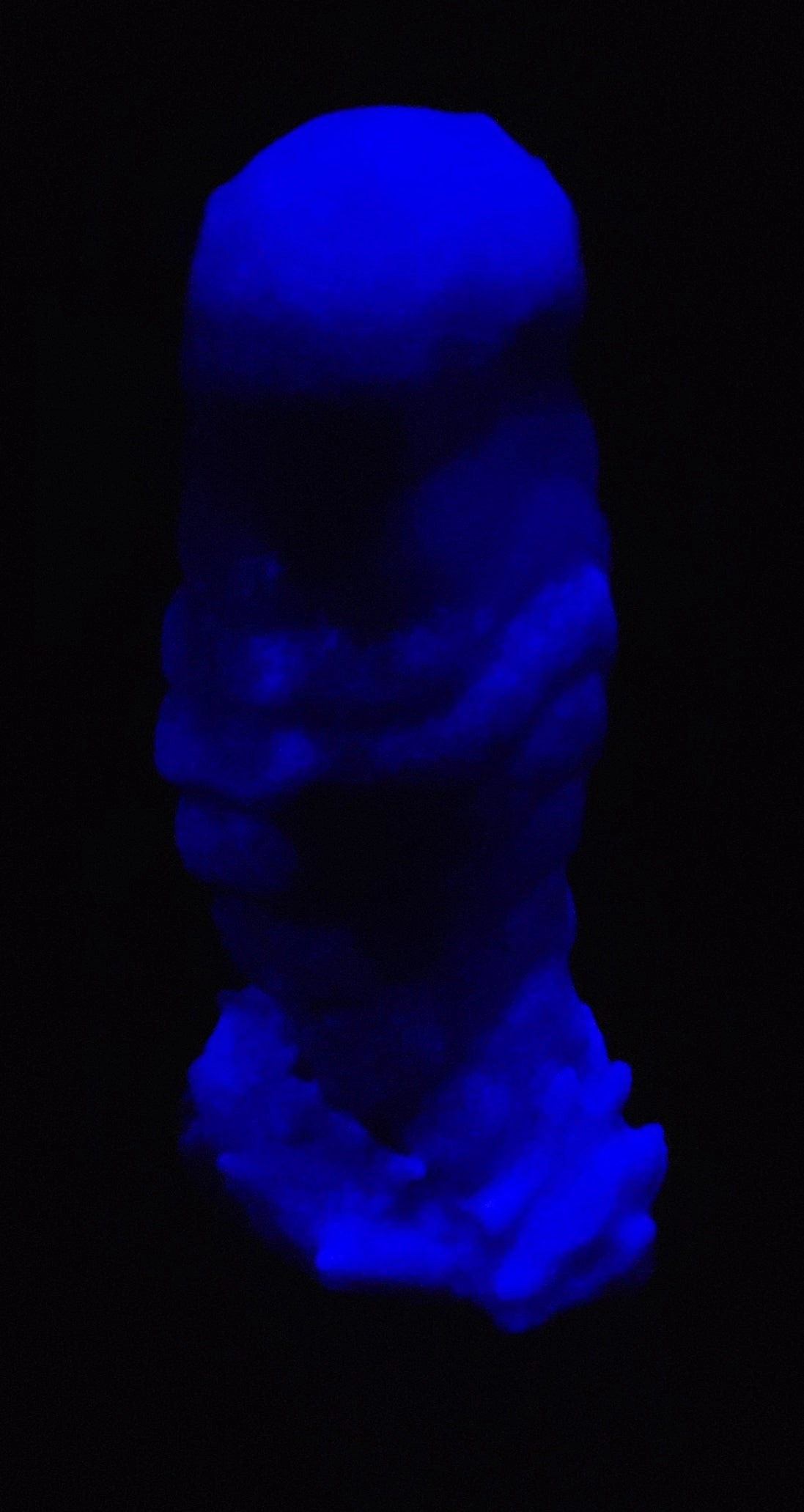 Small Scolopendra - GITD 00-45 Silicone - SC-309