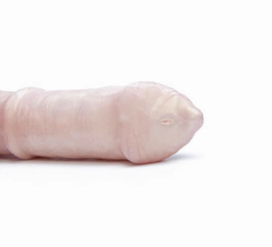 Theo the Pegasus Fantasy Dildo