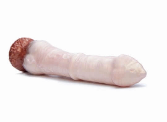 Theo the Pegasus Fantasy Dildo